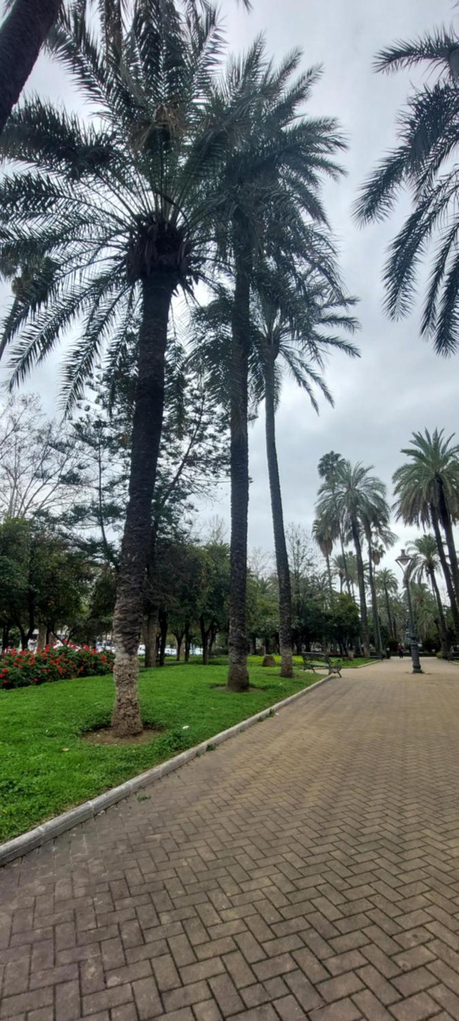 Apartamento Victoria 13 Córdoba